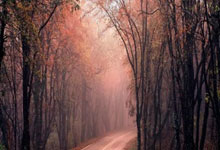 开云体育app-阿尔希拉尔进攻端火力强劲，欲破恩菲尔德防线