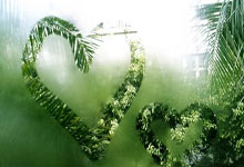 开云体育APP下载-黄黑战车倾覆之夜！卫冕魔咒再现，多特蒙德欧冠征途戛然而止