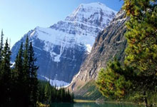 开云体育平台APP-蒙特雷锋线火力全开，防守压力山大