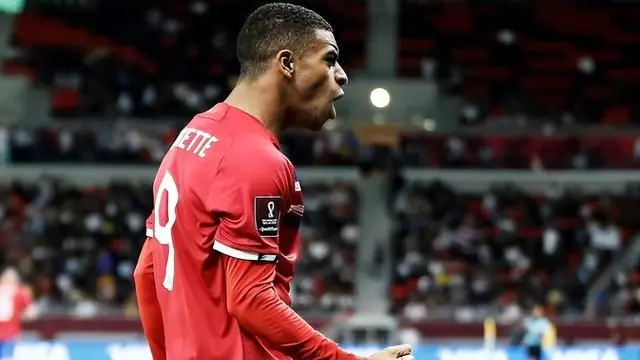 包含外线射手状态火热，带领球队风光夺冠的词条