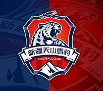 关于海南海口取得胜利，新疆天山雪豹难以奋起直追的信息