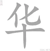 开云体育在线-华德福德主场临阵逆转，保级前景一线希望