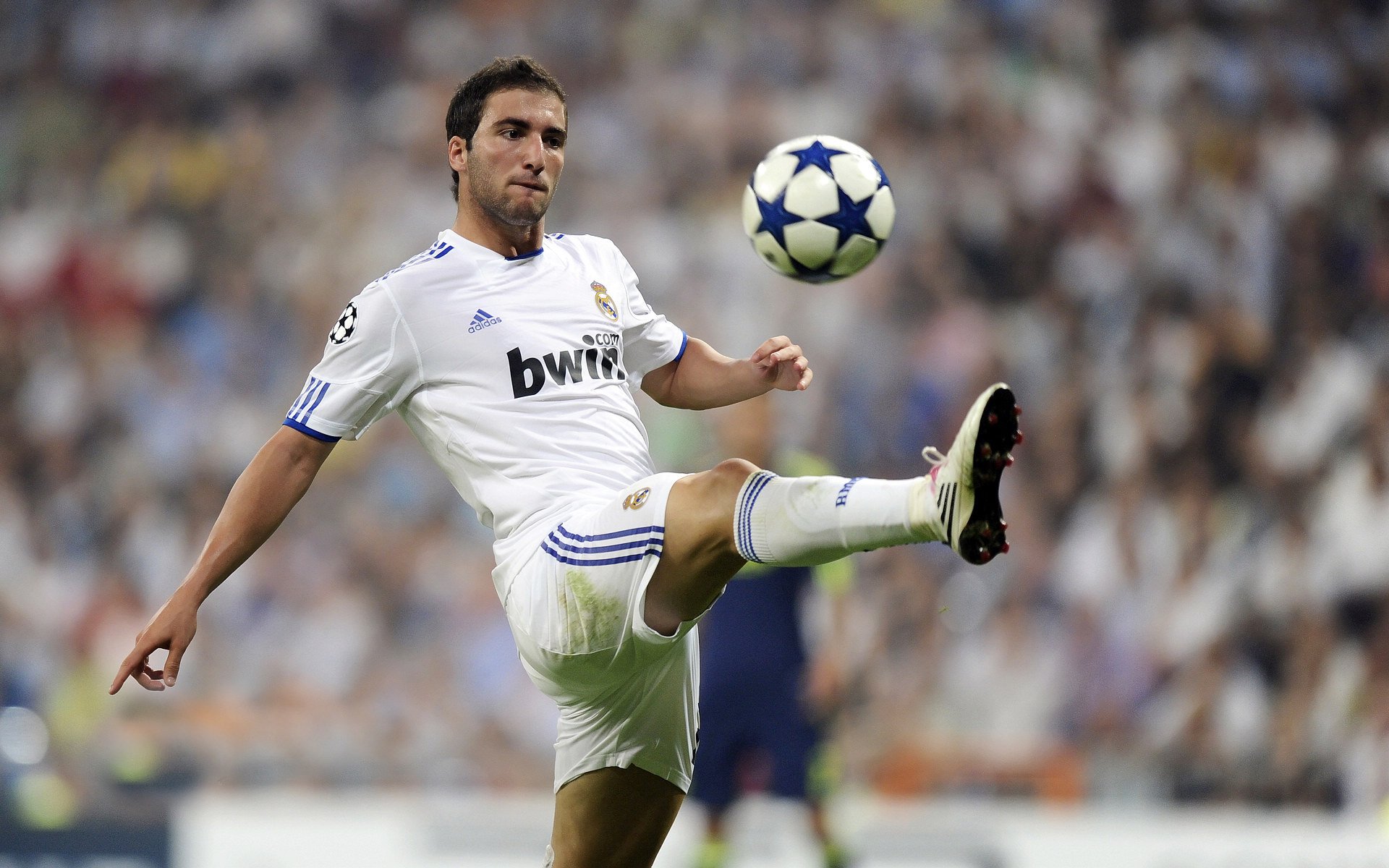 无解之壁，世界排名之夜，李刚仁如何被沉默的利刃彻底封印？